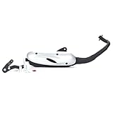 Auspuff Sito Standard kompatibel mit/für Piaggio NRG 50 C21 - AC DT 1999-2004