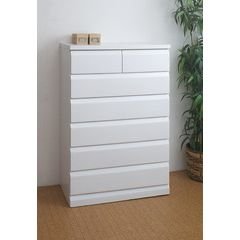 iTʊ VR؋˃`FXg 80cm 6i^Cv zCg TE-0049