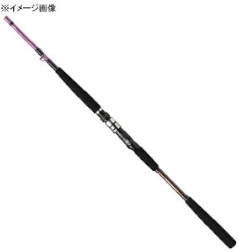 【新品未使用】船等 ダイワ リーオマスターSX青物MH-300・N/釣具 Amazon | ダイワ(DAIWA) 船竿 リーオマスター青物SX MH-300 釣り竿