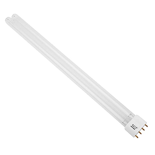 Saint-Acior 36W Uv Marca Forever Speed