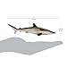 Safari Ltd. Silky Shark - Realistic 5.5