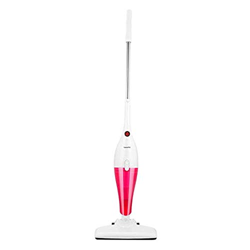 Aspirateur multi-fonction de voiture domestique pour un air sain