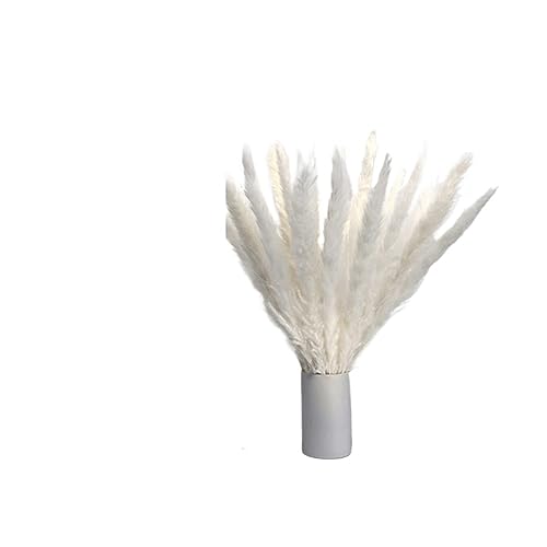 Bouquet de flores secas naturales 30 piezas decorativas
