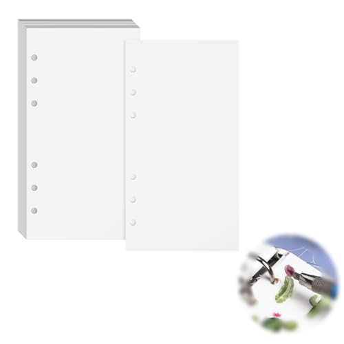 V[g ʔ V[䎆 a6 \Ĕ V[Ex̎W nNVV[g  40 e