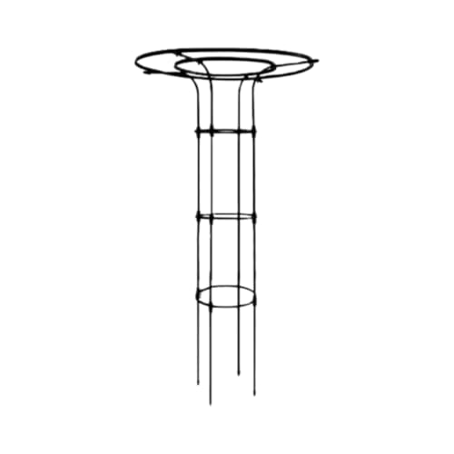 jsdskw |x IxXN  gbvT[NfUC̃peBIgX ̐ẢԂ̂郍[YoCYAo邽߂  O K[fjOpi GKgɍʂ ȒPg 210cm (140cm,ubN) [sA