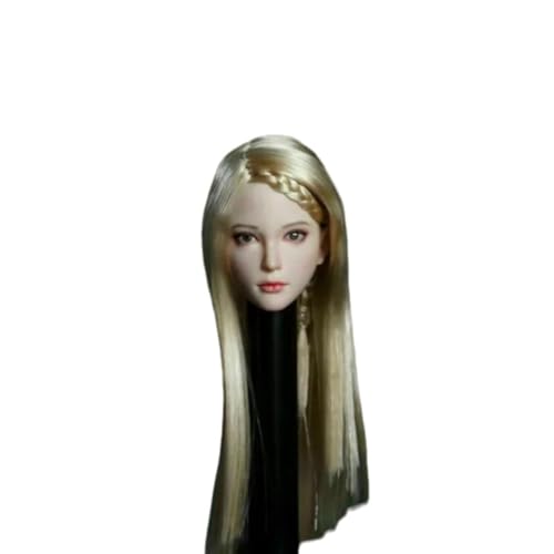 Beauté Asiatique Tête 1/6 SDH028 de Collection avec Chevelure Implantée Argentée Premium