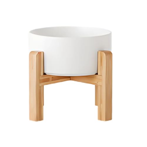 DIZLAS t[h{E ؐ  a {E M ybg H    ^ |