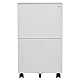 vidaXL Aktenschrank mit Rollen Rollcontainer Bürocontainer Schubladenschrank Büroschrank Stahlschrank Metallschrank Schrank Hellgrau 39x45x67cm Stahl