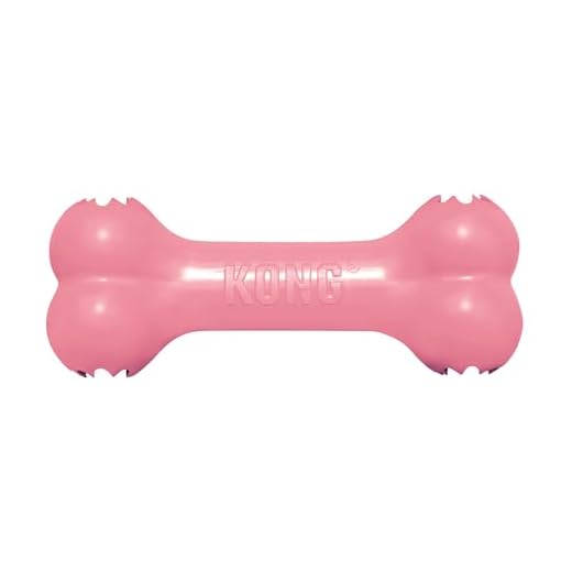 KONG Puppy Goodie Bone Toy