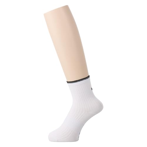 [WbNoj[] fB[X hۖhL V[g\bNX (pCET|[g) / St C / 262-4286904 030_zCg FR