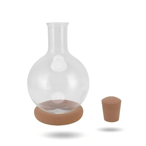 Decanter per vino rosso Caraffa per vino in vetro multifunzionale Quick Sober Dispenser per vino in vetro trasparente ad alto contenuto di borosilicato con base per bar regali per la casa(2L)