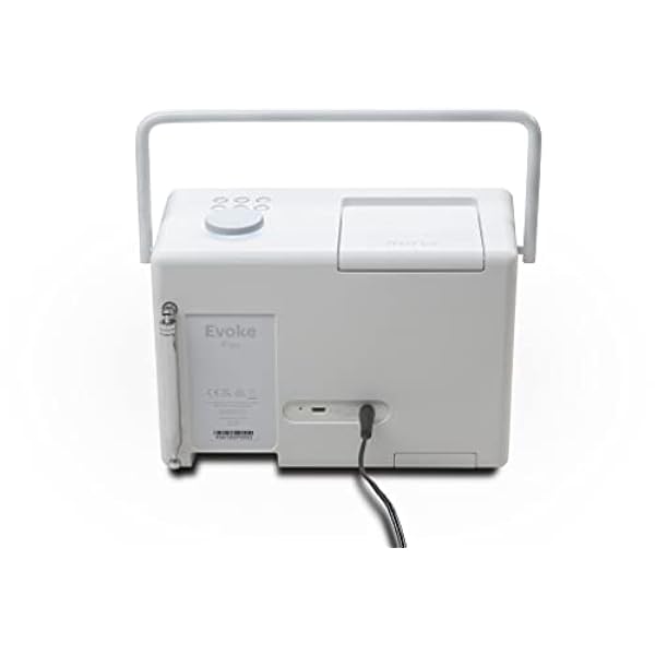 Pure Evoke Play sistema musicale versatile per interni ed esterni (radio DAB /FM, internet radio, podcast, Spotify Connect, Bluetooth in un ricco suono stereo da 40W), Cotton White