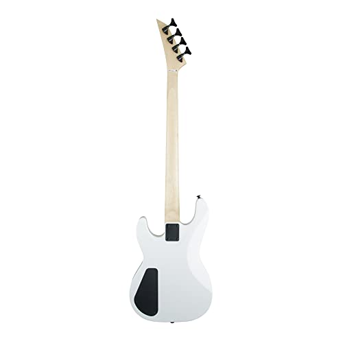 Professional Bass Guitar Starter Bundle