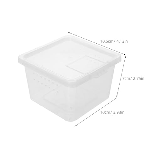 HAWILLOSCH ঒��ރe�����E���P�[�W 10�Z�b�g �J���p���� �N�����甠 �J�^�c�����e�����E�� �ʋC���݌v�Ɠ������ʃy�b�g�̊ώ@�ɓK��������