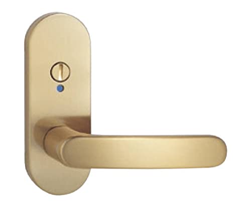 Z nCo[NO.33\  LS-33-4K13-SG 󒍐Yi