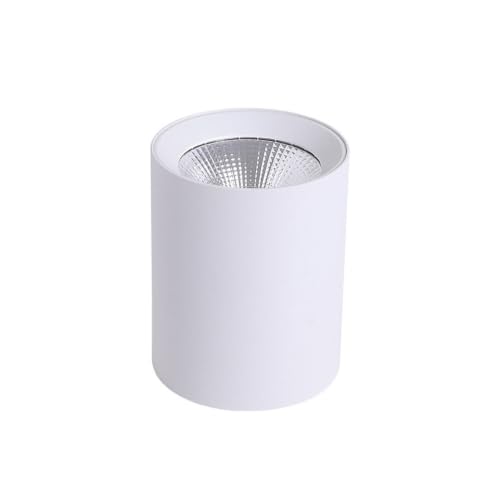 Projecteur de plafond suspendu COB 20W à flux ciblé et lumière 4000K