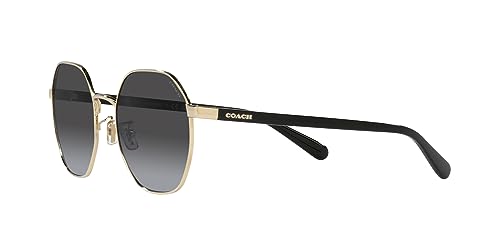 Coach Women's Hc7147 Hexagonal Sunglasses3