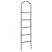 Bamboo Decorative Ladder