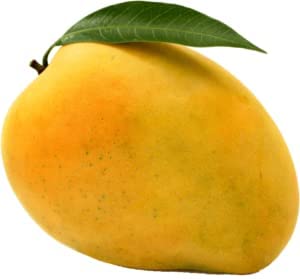 See full amazon price history chart for THE GREEN DOTCOM " Banganapalli (Safedi) Mango Plant " Live fruit Plant Grafted Hybrid Mango"King of fruits"1 Healthy Live Plant for Home Garden. THE GREEN DOTCOM " Banganapalli (Safedi) Mango Plant " Live fruit Plant Grafted Hybrid Mango"King of fruits"1 Healthy Live Plant for Home Garden. (B0BZHJWCJF) Amazon Price History, Amazon Price Tracker