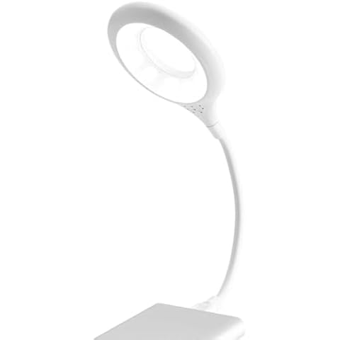HVZUM White 2 PCS USB Connection Reading Lamp -Flexible LED Reading Lamp with Gooseneck -12-LEDs -Computer Lamp -Ideal for Travel for Laptop Notebook Cover