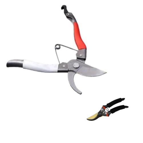 Lopres  200mm oT~ }؂oT~ |nT~ |p͂ Kтɂ yʉnh ₷ ʎ  ~ 뉀 K[fjO ϗtA  (B)