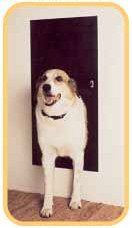Solo Pet Doors Automatic Electronic Dog and Cat Door (10