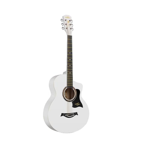 Damika ARM S҃Zbg 38C` 41C` ql܂ AR[XeBbNM^[ StiZbg e₷݌v KpM^[ w lp ([AbvO[h] 38C` zCg + pbP[W (zCgGbW))