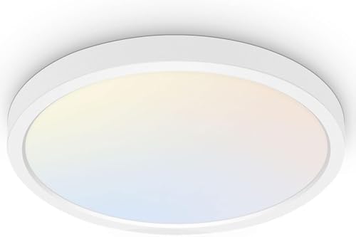 Image of hykolity 18 Inch LED Round Flat Panel Light,32W,3200LM,3CCT