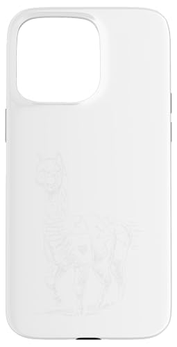 ApJ UCN^C Xg[gA[g X}zP[X iPhone 15 Pro Max p