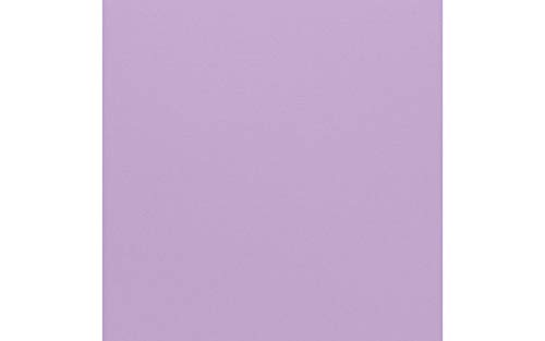 Bazzill Cdstk 12x12 Mono Heather