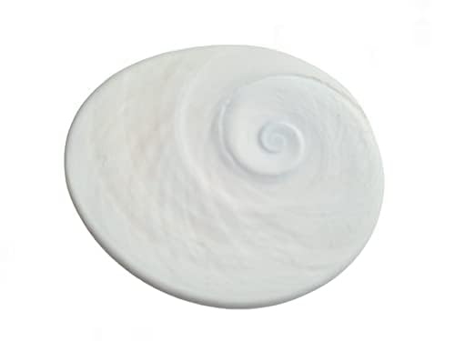 happiness hub Raja Gomati Chakra Big Size Original Natural Gomathi Chakram for Vishnu Mahalakshmi Pooja Stone (Weight Can Differ Due to Natural Occurrence of Stones) | गोमती चक्र-image-14