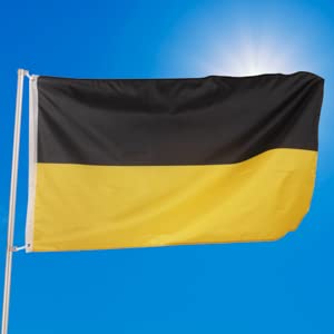 PHENO FLAGS Baden-Württemberg flag - German flag 3x5ft with brass eyelets - weatherproof flag for flagpole - 100% polyester - 90x150cm - Image 2