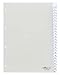 Produktbild Durable Register A4 mit umschweißten Taben, 25tlg., 1 Stück, transparent, 682419