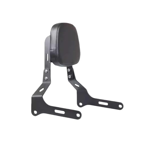 Dossier passager Eliminator 500 pour voyager à deux en moto custom balade 2025