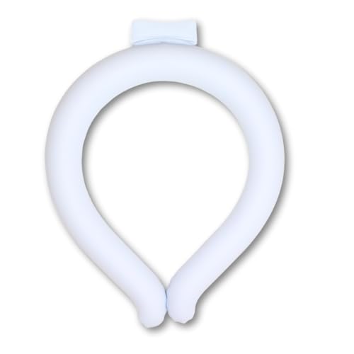 yACfAzt[YACXO2025ver. LTCY 񂽂񏋂΍II Ɋ|邾̗⊴ObY (V[xbgu[)