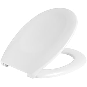 Beldray LA030252 Asiento y tapa Duroplastic de cierre suave, Instalación rápida y sencilla, Bisagras de aleación de zinc, apto para la mayoría de los inodoros estándar, blanco, 38,5 x 5,2 x 46,1 cm