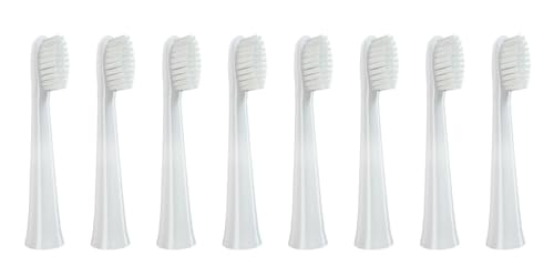 �����p���u���V�w�b�h�A�p�i�\�j�b�N �h���c DM71/DM81/DM711/DM712/DM61/DML1/DM31/PDM7B/MDB3A/WEW0972 �d�����u���V�ɑΉ�(8pcs Adult)