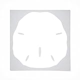 Sand Dollar Reusable Mylar Stencil - Art Craft Supplies 12 Inch