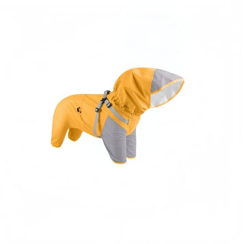 pCR[g n[lXtE4{^CvEt[htp[J[ | wWbp[EEȒP | ^/^/^ΉEh/h/hEʋC | ~JJ̓̂Uɕ֗ (2XL sN) (L,CG[)