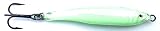 Epoxy Resin Fishing Jig Lure (Shad 2 inch / 0.5 Ounce) - Great for Striped Bass, Tuna and Other Game