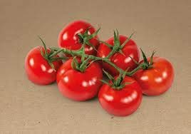 Strauchtomaten aus Frankreich 10 kg Karton