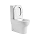 BAIKAL BAI Keramiktoilette, kompaktes WC auf dem Boden mit Rimless System und Monoblock-Spülkasten mit Doppelspülmechanismus. Komplett mit zwei Ausgängen und Sitz mit gedämpftem Fall.