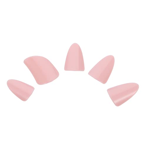 JEWEDECO 5iplC wɃtBbgtBK[sbN y퉉tp ANZT[  spΉ