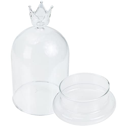 FOMIYES Glass Display Cloche Dome with Base, Bell Jar Terrarium Showcase Display for Antique Collectibles, Dessert Cover for Office Home Decoration 21cm