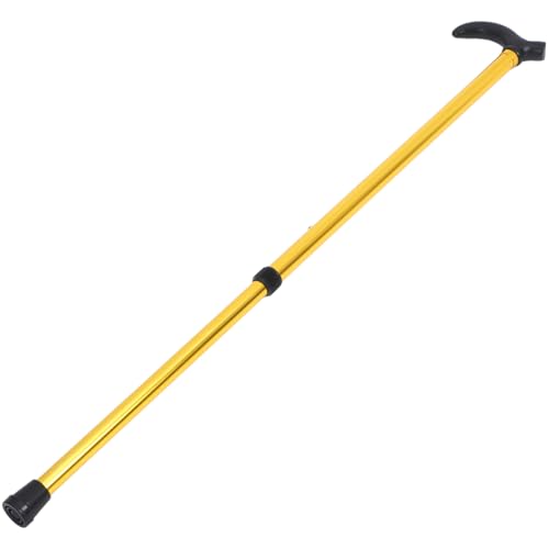 FRCOLOR \ȌyʐLk Ҍ AEghAp oRpɂȐ܂肽