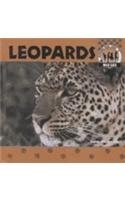 Leopards 1577650883 Book Cover