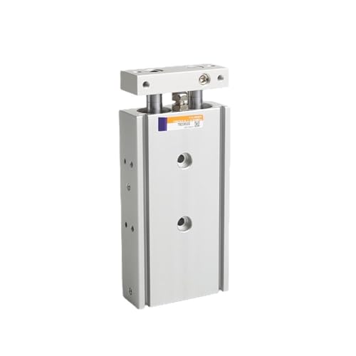 Cylindre pneumatique double tige TR20 anti rotation pour automatisation mécanique