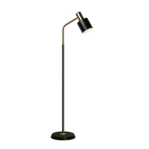 Lampadaire pour le salon en fer forgé noir avec éclairage LED réglable
