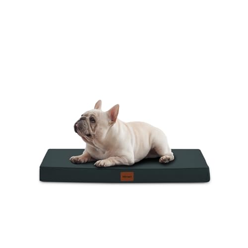 Medium-Dog-Bed-Waterproof-Orthopedic-Dog-Bed-Washable-Dog-Beds-Furniture-Dog-Crate-Bed-Egg-Crate-Foam-Pet-Bed-30-X-20-X-3-inch-Grey - Cucciolini Doodles   Medium-Dog-Bed-Waterproof-Orthopedic-Dog-Bed-Washable-Dog-Beds-Furniture-Dog-Crate-Bed-Egg-Crate-Foam-Pet-Bed-30-X-20-X-3-inch-Grey