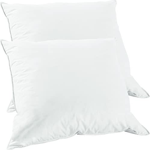Erwin Müller Kissen Stettin 2er-Pack 70% Federn, 30% Daunen weiß Größe...